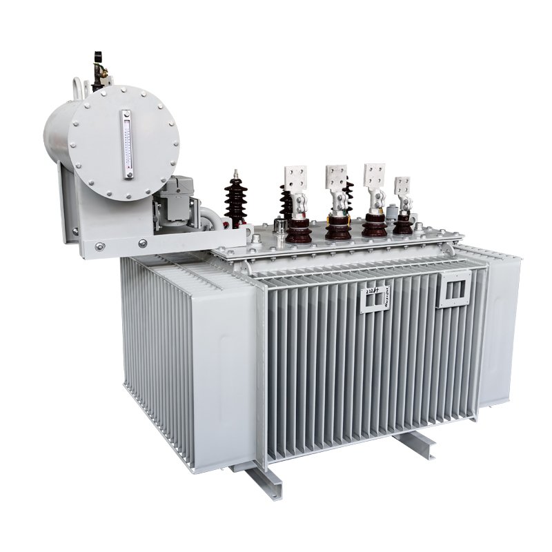 Oil-cooled Transformer with Oil Pillow Equipment 5